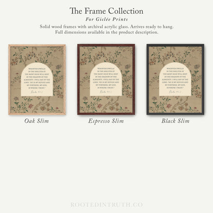 The image is a collection of three framed prints, each with a different color and design, arranged in a row.