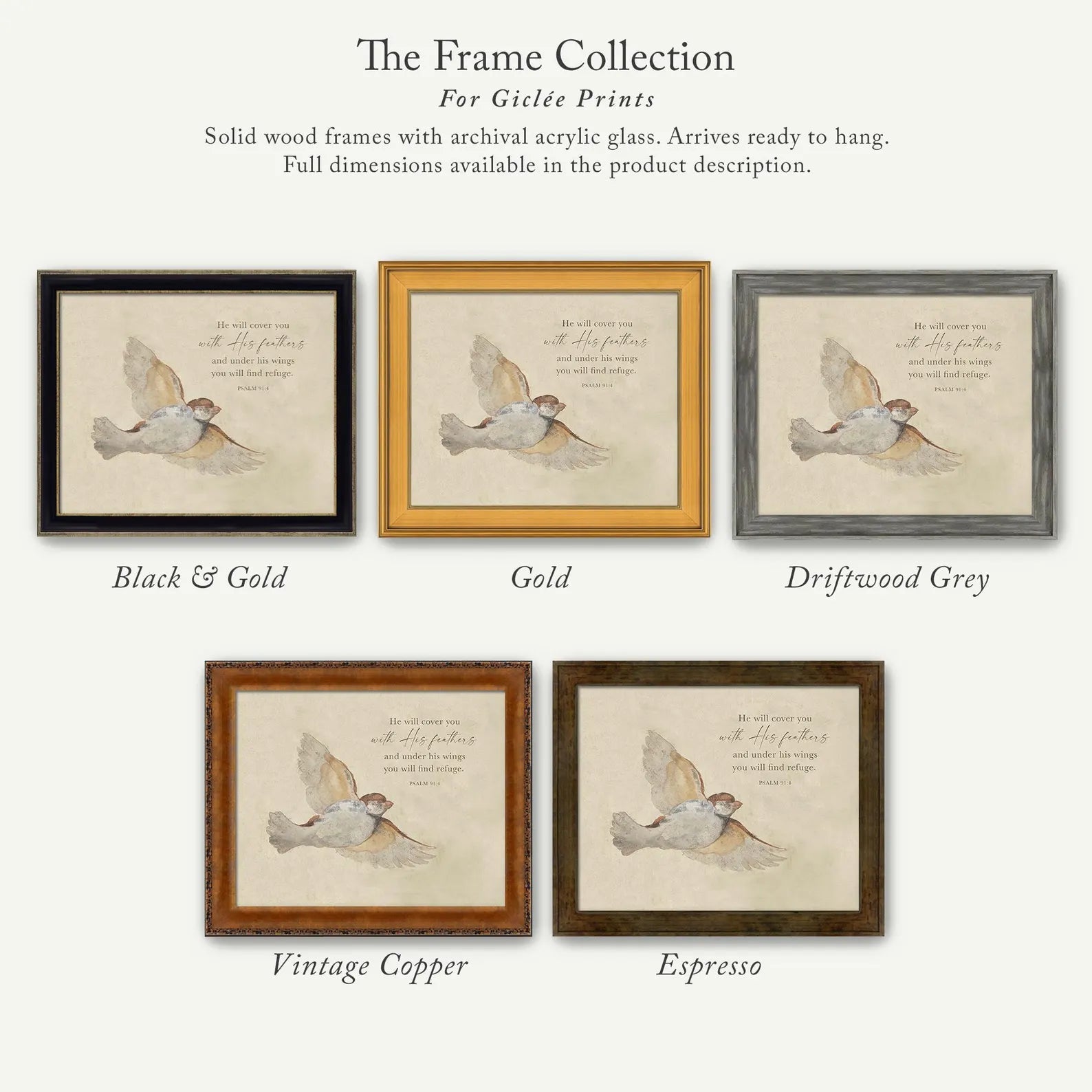 The image is a collection of six framed prints, each with a different color and frame style, showcasing the variety of options available for purchasing or displaying artwork.