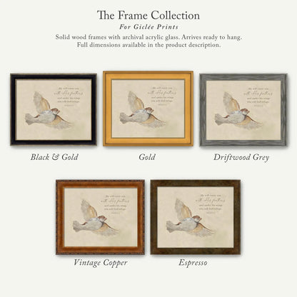 The image is a collection of six framed prints, each with a different color and frame style, showcasing the variety of options available for purchasing or displaying artwork.