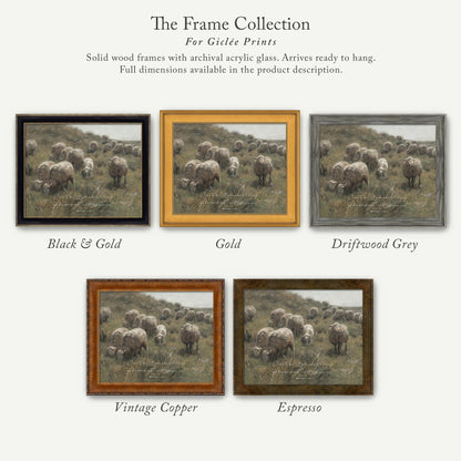The image is a collage of five framed prints, each depicting a herd of sheep in a pastoral setting. The frames are solid wood with archival acrylic glass, which allows the prints to be hung and displayed in full dimensions. The frames come in various colors, including black and gold, gold, driftwood grey, vintage copper, and espresso.