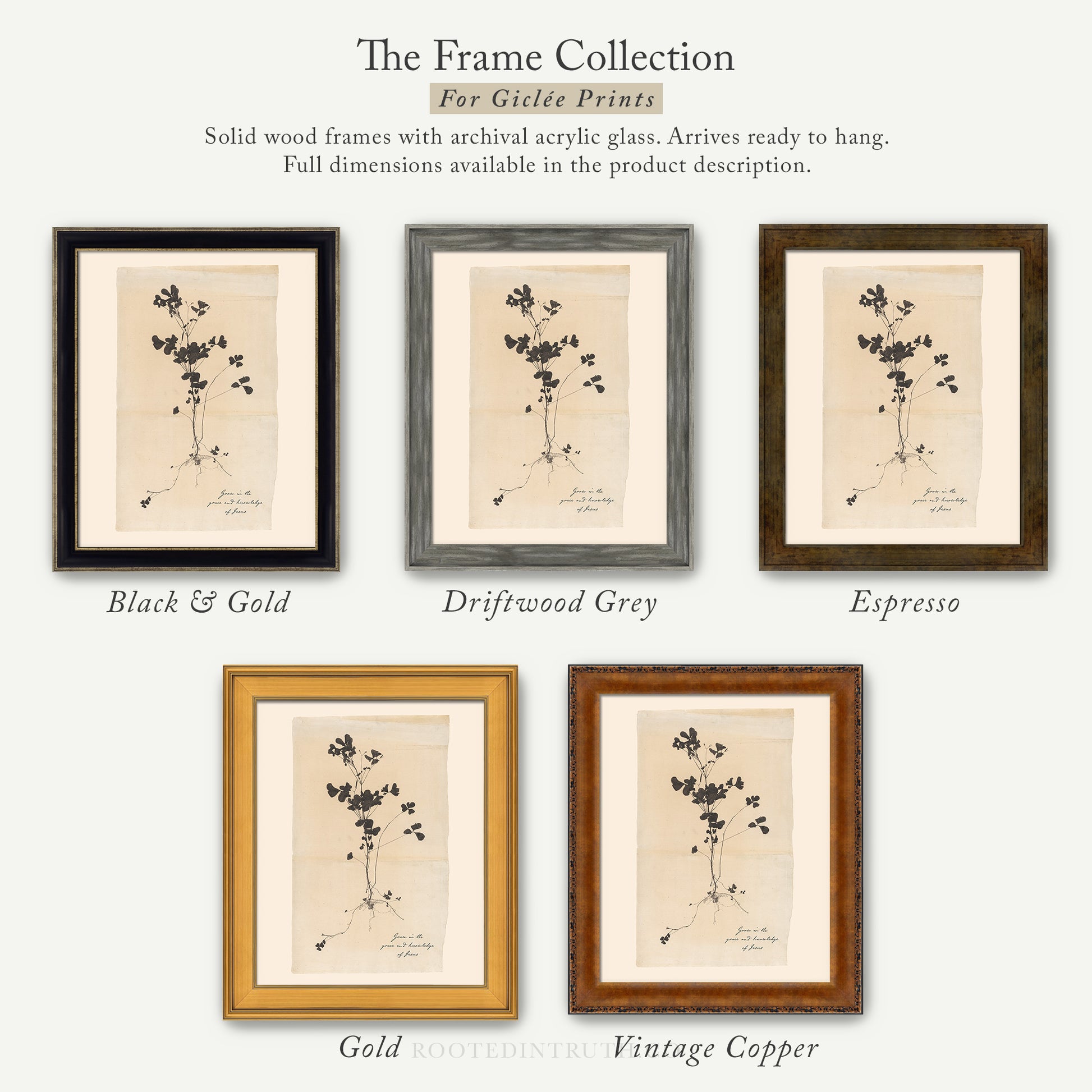 The image is a collection of five framed prints, each with a different color and frame style, showcasing the variety of options available for purchasing or displaying artwork.