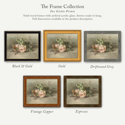 The image is a collage of five framed prints, each with a different color and frame style, showcasing the "The Frame Collection" for Girlette Prints.