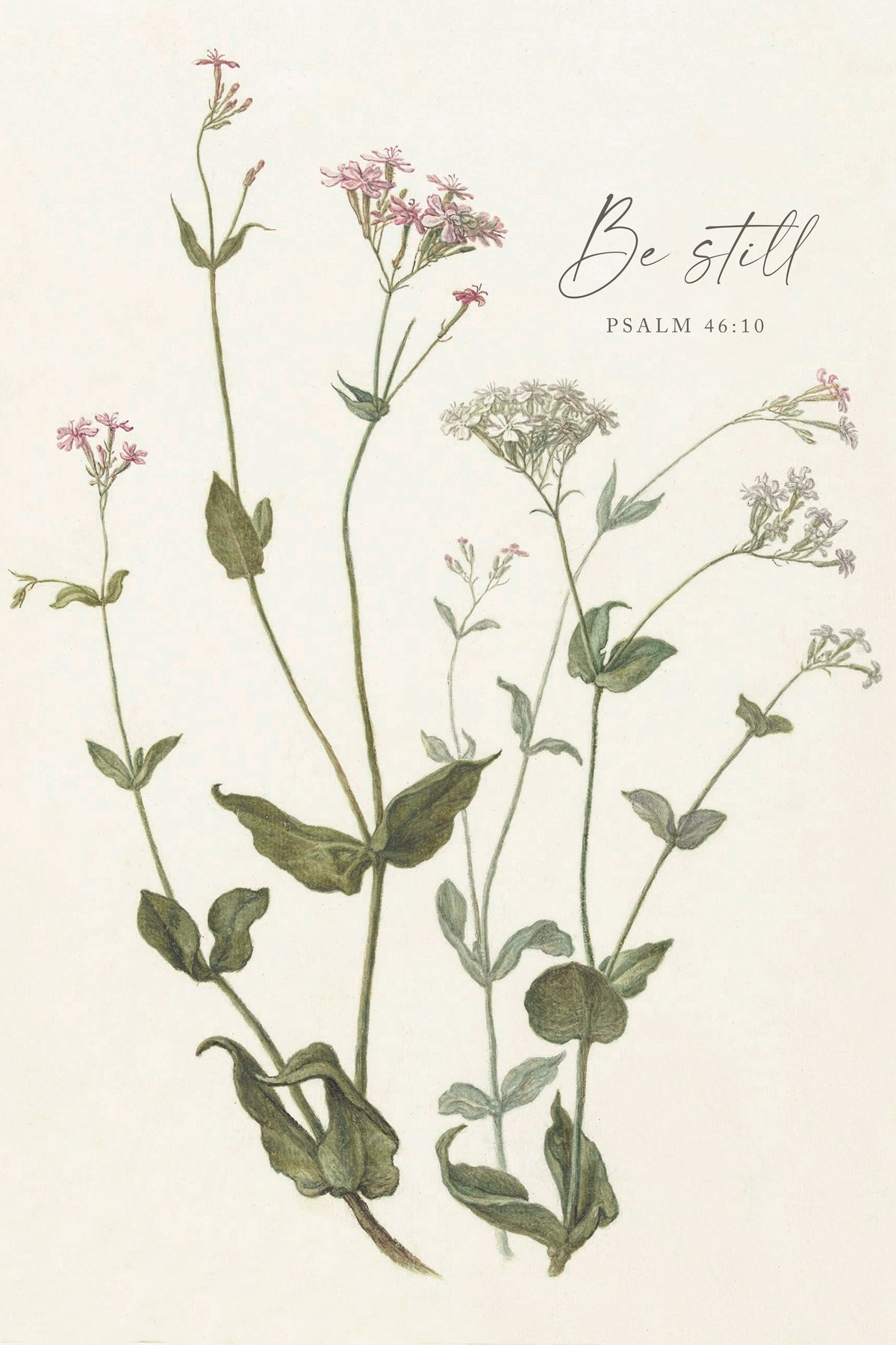 The image is a botanical illustration featuring various flowers and leaves, accompanied by the text "Be still" and a Bible verse reference.