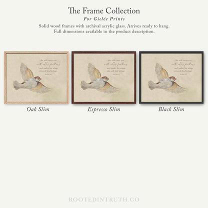 The image is a collection of three framed prints, each with a different color and style, showcasing the frames for giraffe prints.