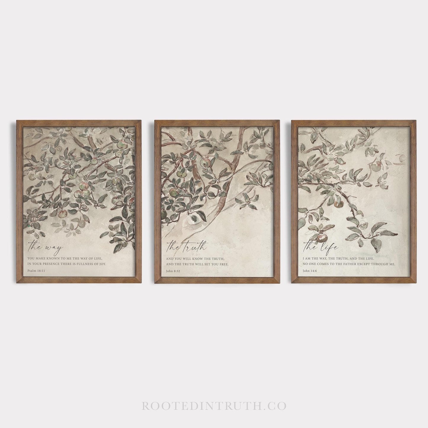 a set of three framed paintings of a tree