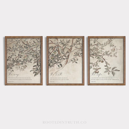 a set of three framed paintings of a tree