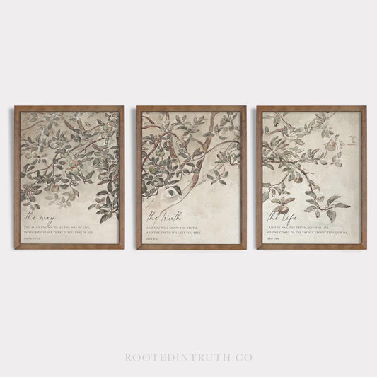 a set of three framed paintings of a tree
