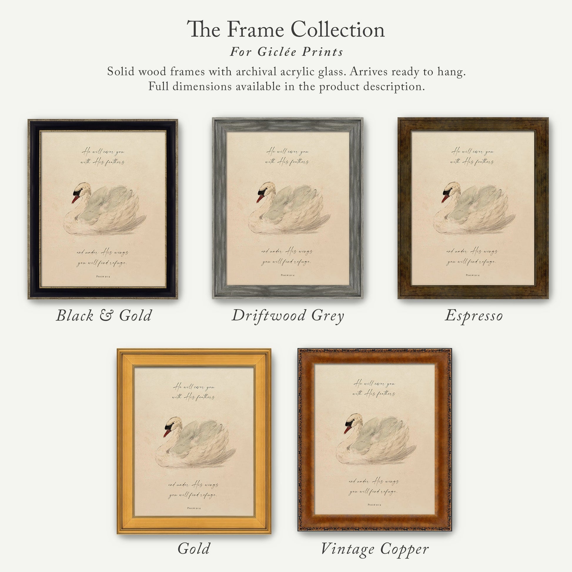 The image is a collection of five framed prints, each with a different color and frame style, showcasing the variety of options available for purchasing or displaying artwork.