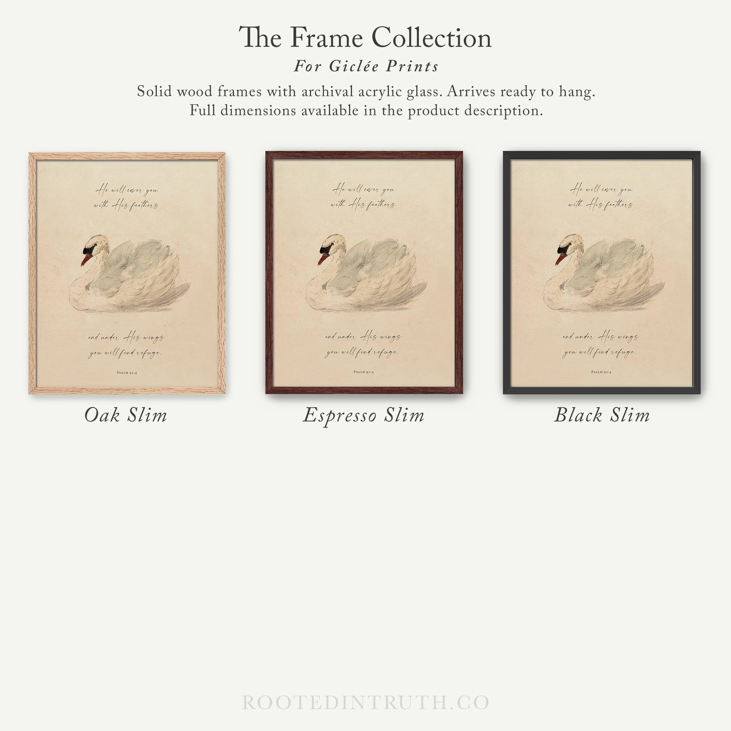 The image is a collection of three framed prints featuring a swan illustration. The swan is depicted in different shades of brown, and the frames are described as solid wood with archival acrylic glass, arriving ready to hang. The full dimensions of the prints are provided in the product description.