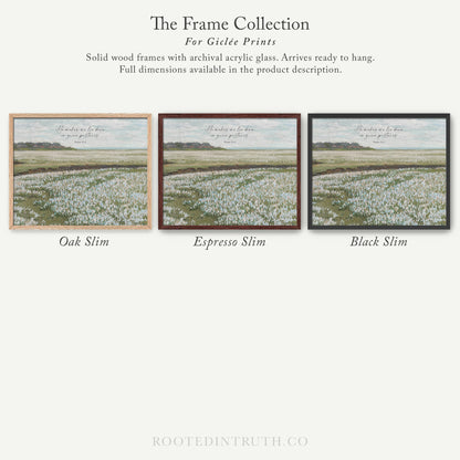 three framed pictures of a field of flowers