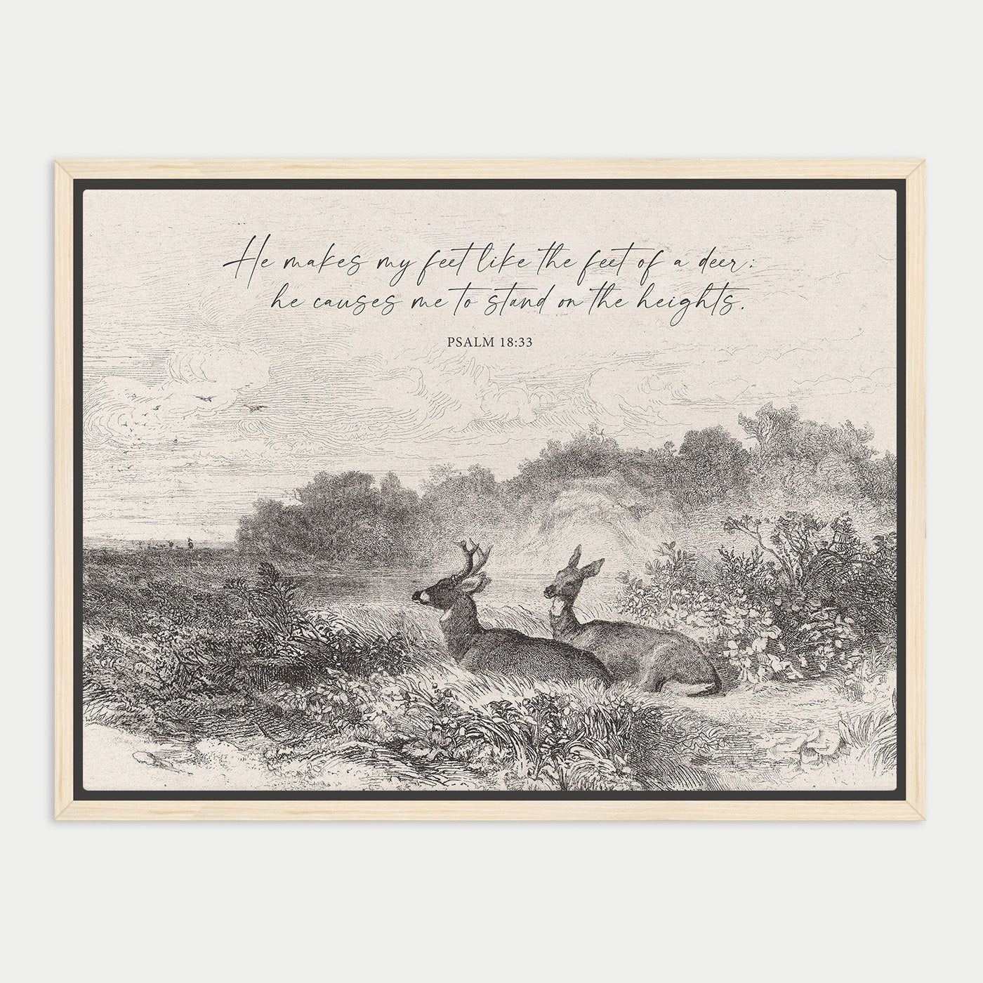 The image is a black and white illustration depicting two deer standing in a field with trees and bushes in the background.