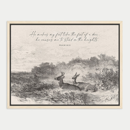 The image is a black and white illustration depicting two deer standing in a field with trees and bushes in the background.