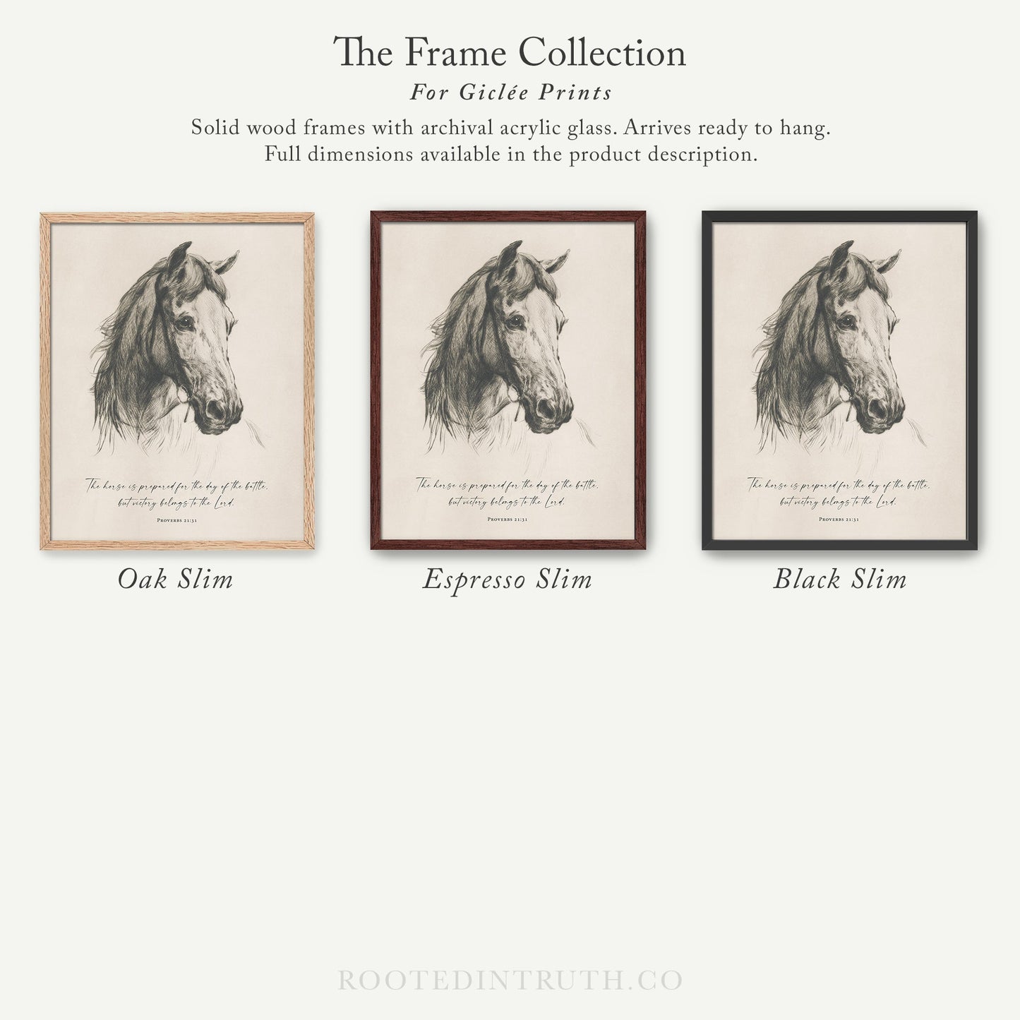 three framed pictures of horses in black and white