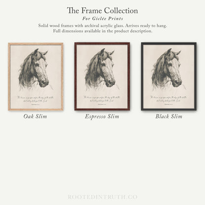 three framed pictures of horses in black and white